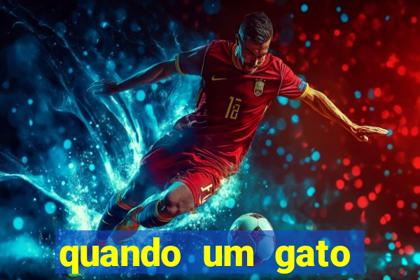 quando um gato aparece do nada significado espiritual